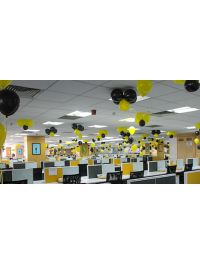 Office Launch Office Launch