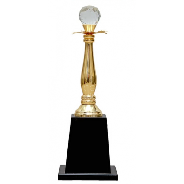 Metal Trophy