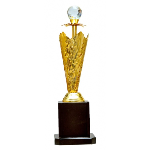 Metal Trophy