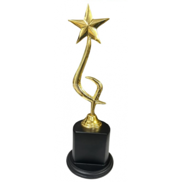 Metal Trophy