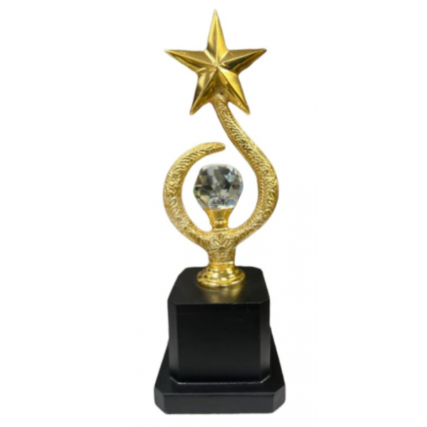 Metal Trophy