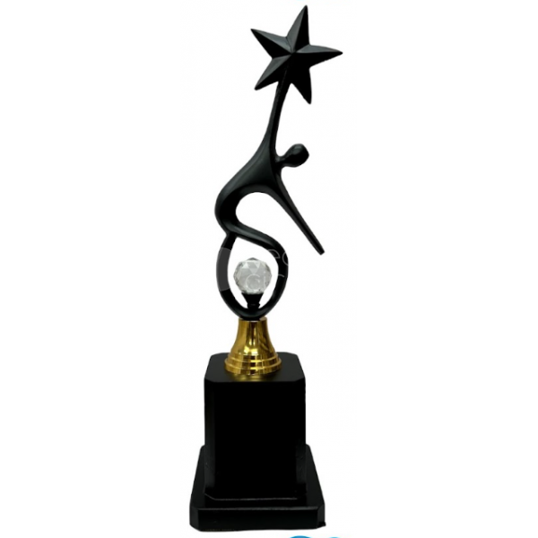 Metal Trophy