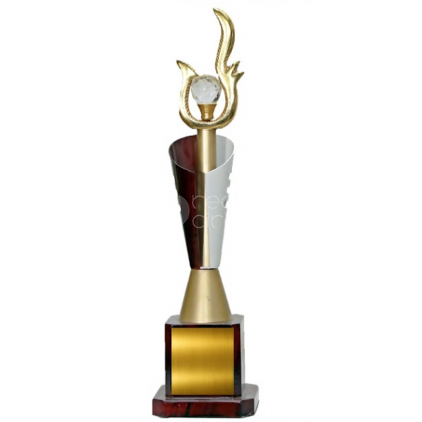 Metal Trophy