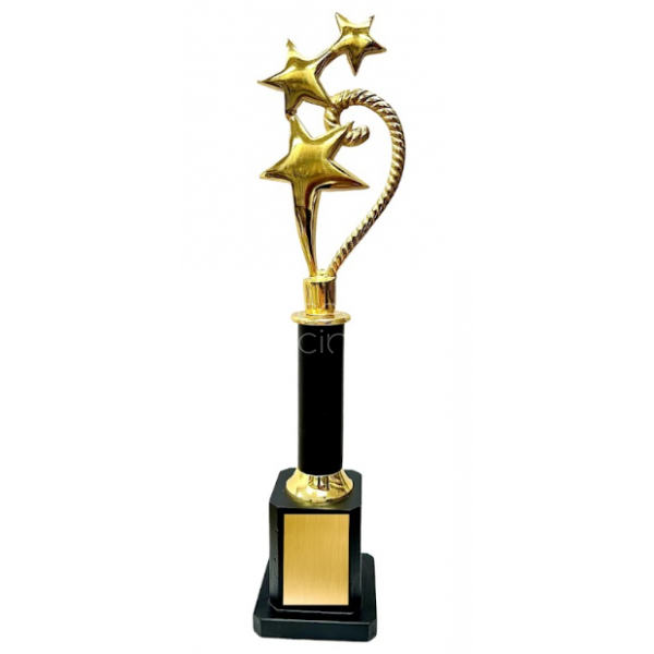 Metal Trophy