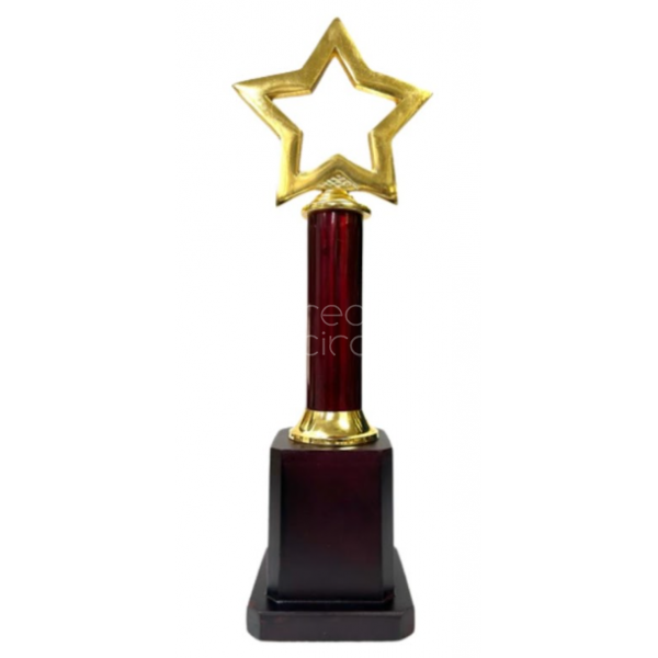 Metal Trophy