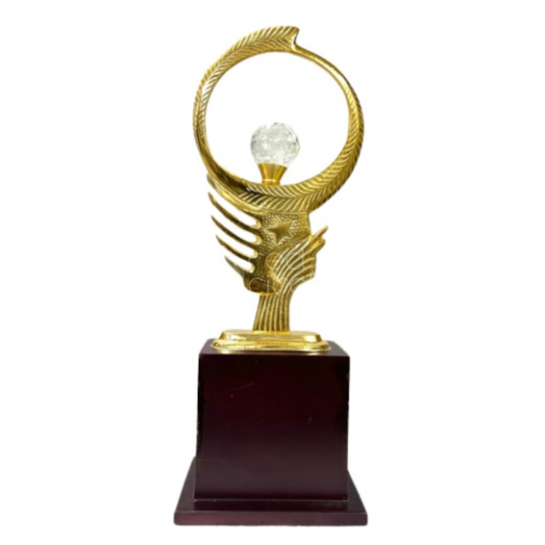 Metal Trophy