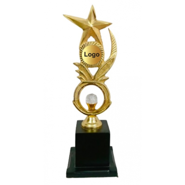 Metal Trophy