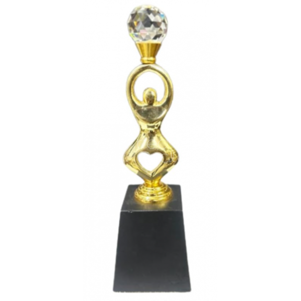 Metal Trophy