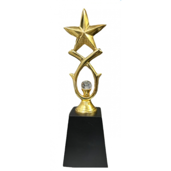 Metal Trophy