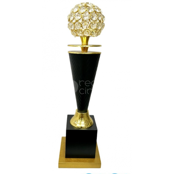 Metal Trophy