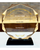 Crystal Octahedron Executive Award