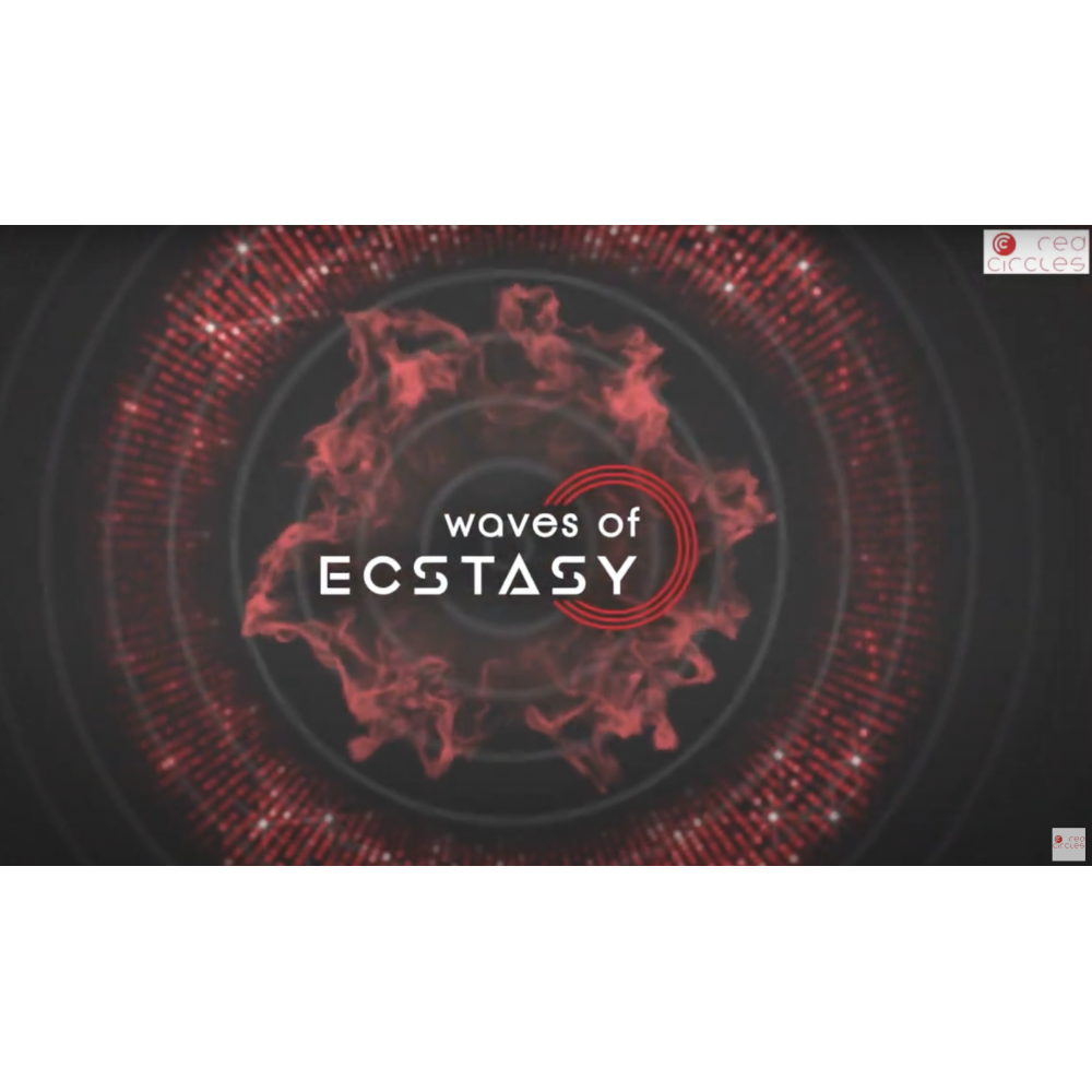 Skore Vibrator Intro 