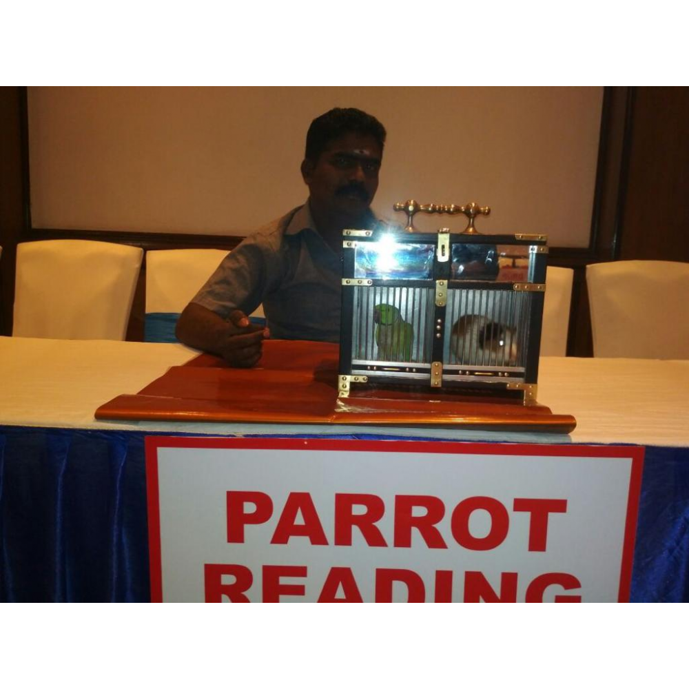 PARROT READING