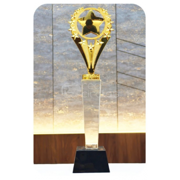 Crystal trophy