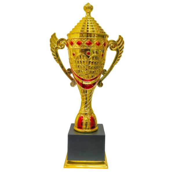 Fiber cup