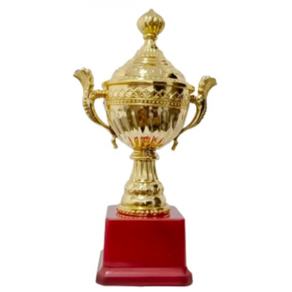 Fiber cup
