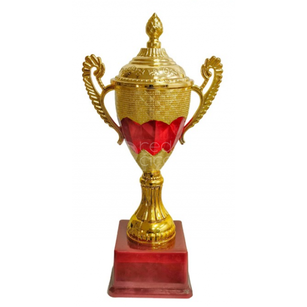 Fiber cup