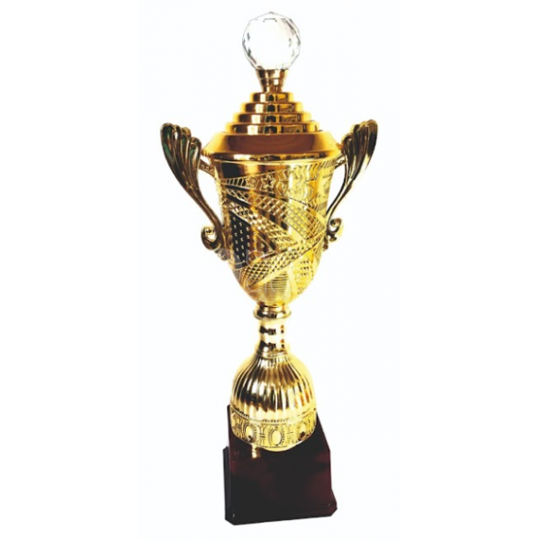 Fiber cup
