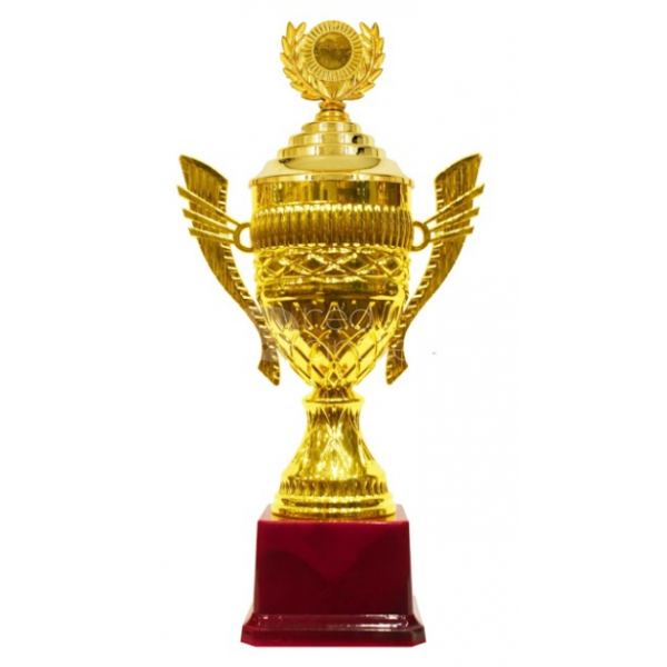 Fiber cup