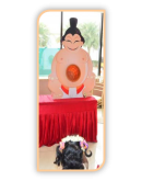 Hungry Sumo