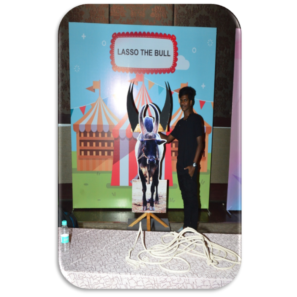 Lasso the Bull